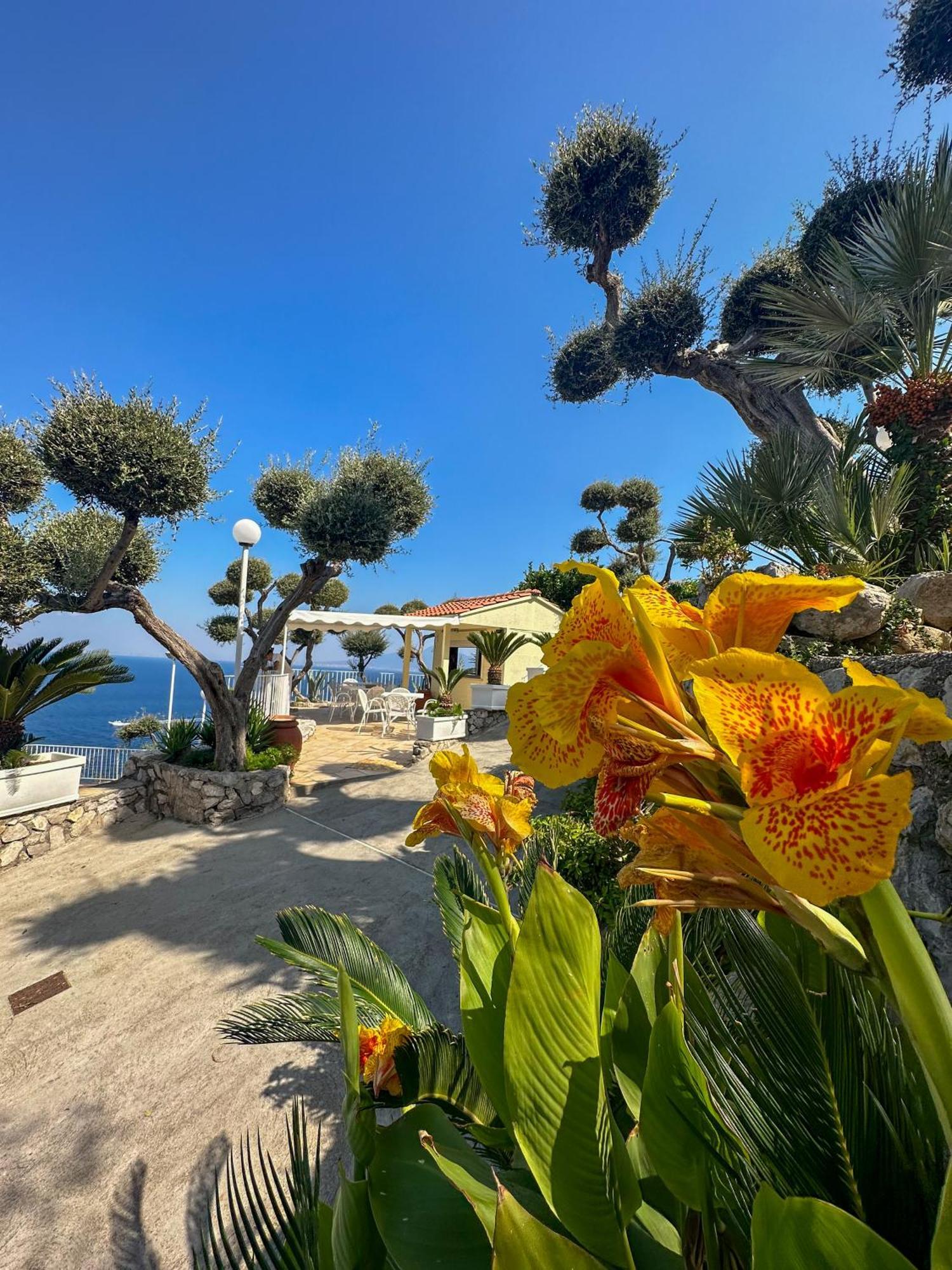 Villaggio Villa Lubrense マッサ・ルブレンセ エクステリア 写真